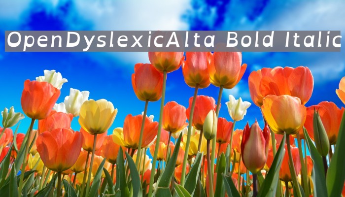 OpenDyslexicAlta Bold Italic Fonte examples