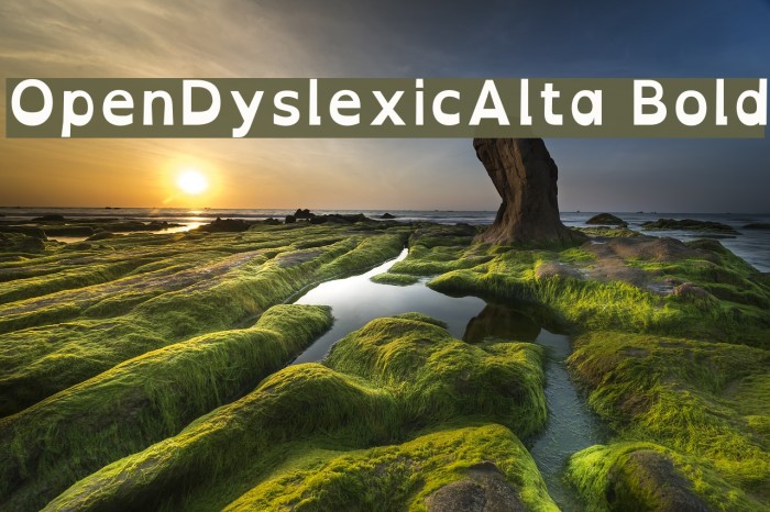 OpenDyslexicAlta Bold Example 2