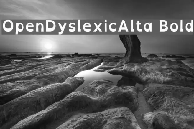 OpenDyslexicAlta Bold Font examples