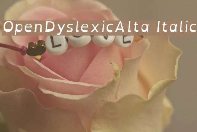 OpenDyslexicAlta Italic Example 2