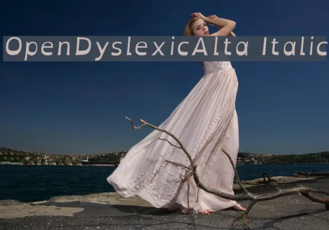 OpenDyslexicAlta Italic Example 3