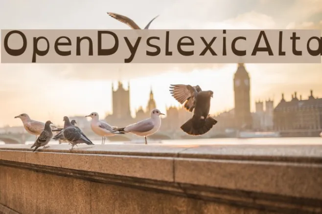 OpenDyslexicAlta Example 1