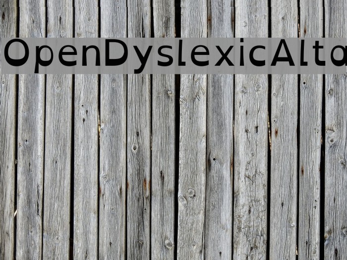 OpenDyslexicAlta Font examples