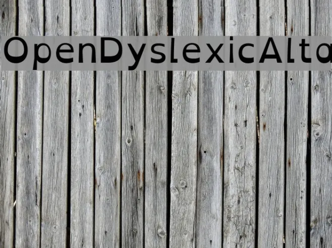 OpenDyslexicAlta Example 2