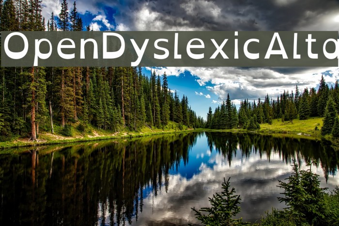 OpenDyslexicAlta Font examples
