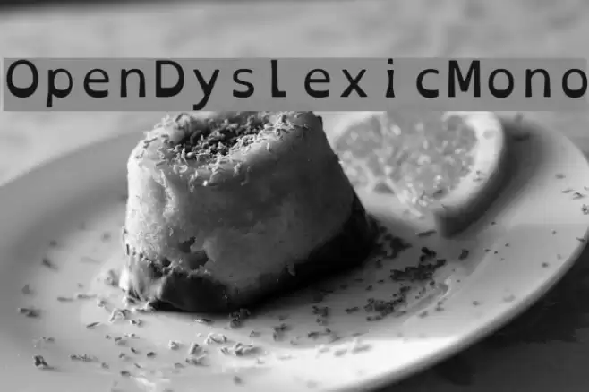 OpenDyslexicMono Font examples