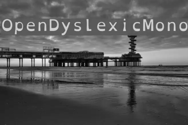 OpenDyslexicMono Font examples