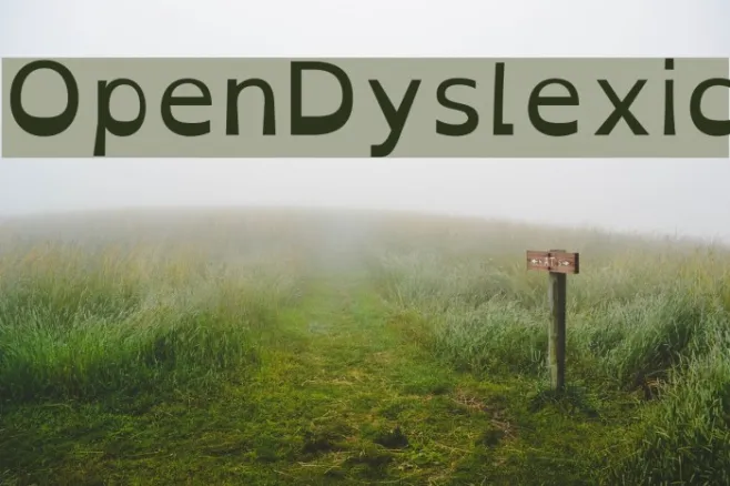 OpenDyslexic Example 1