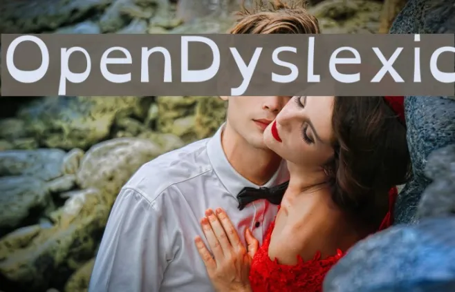 OpenDyslexic Example 2