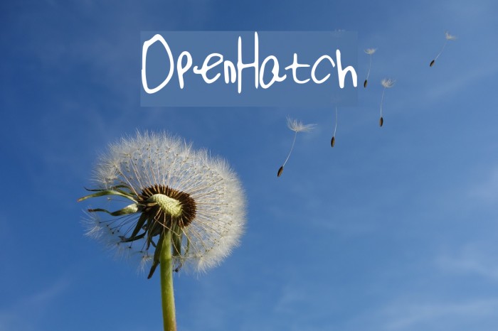 OpenHatch Font examples