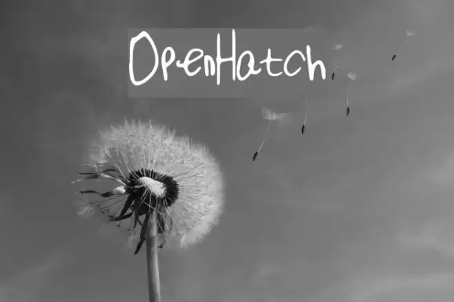 OpenHatch Font examples