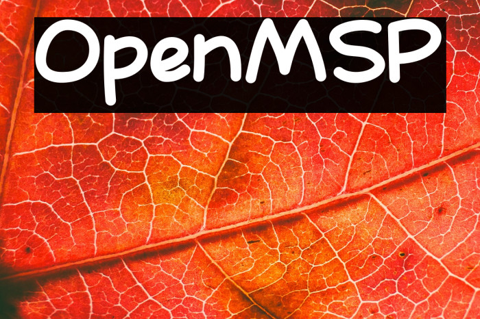 OpenMSP Example 1