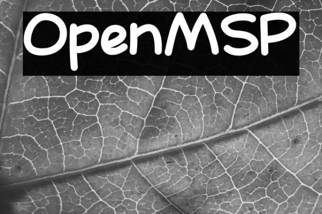 OpenMSP Schriftart examples