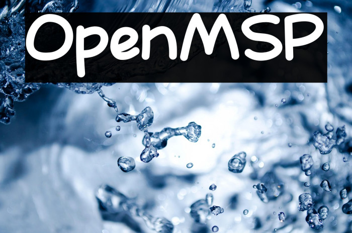 OpenMSP Example 2
