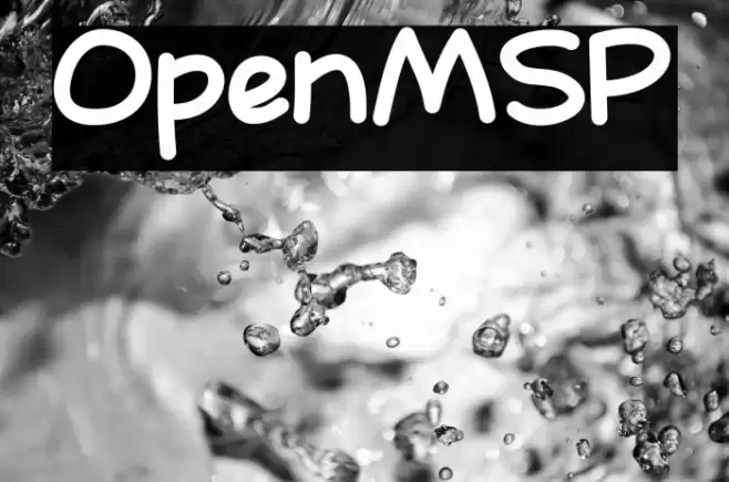 OpenMSP Schriftart examples