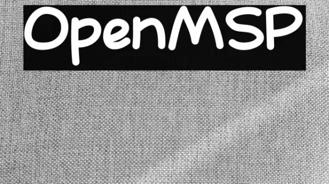 OpenMSP Schriftart examples