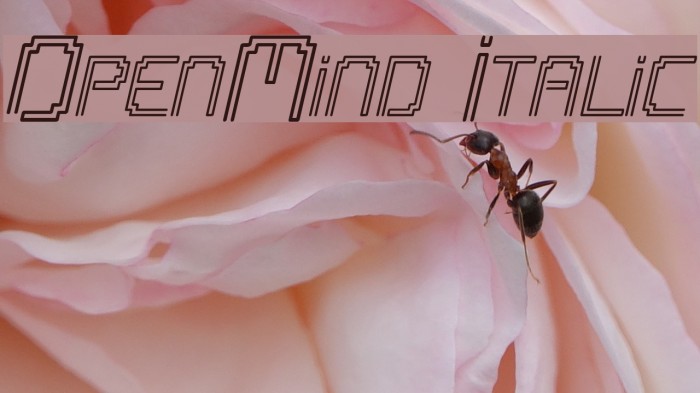 OpenMind Italic Font examples