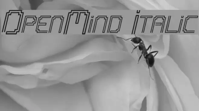OpenMind Italic Font examples