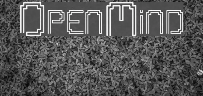 OpenMind Font examples