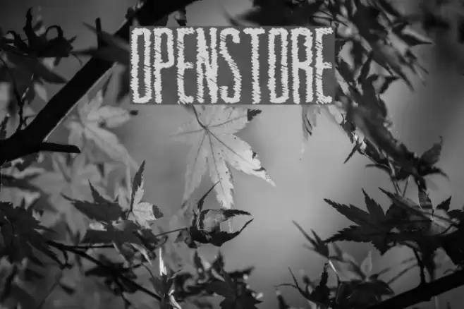 OpenStore Font examples