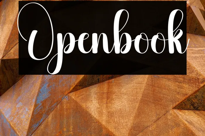 Openbook Example 1