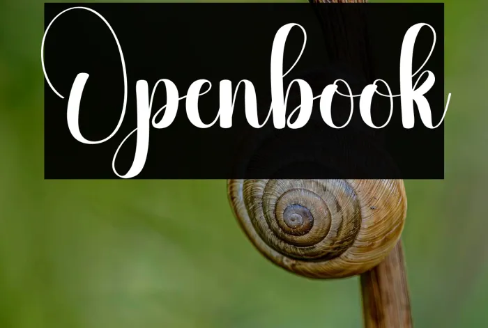 Openbook Example 2