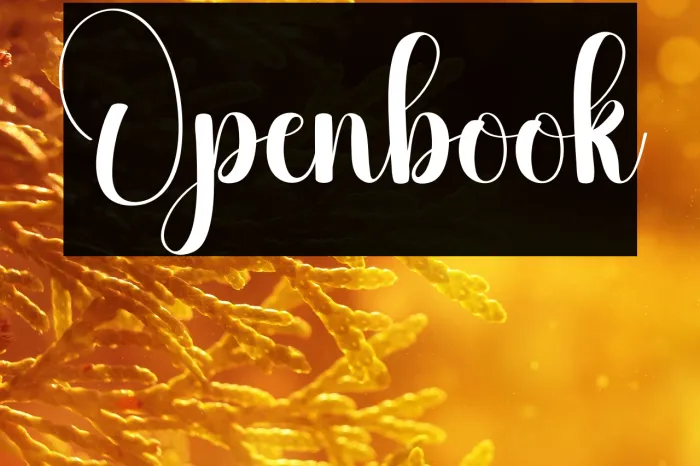 Openbook Example 3