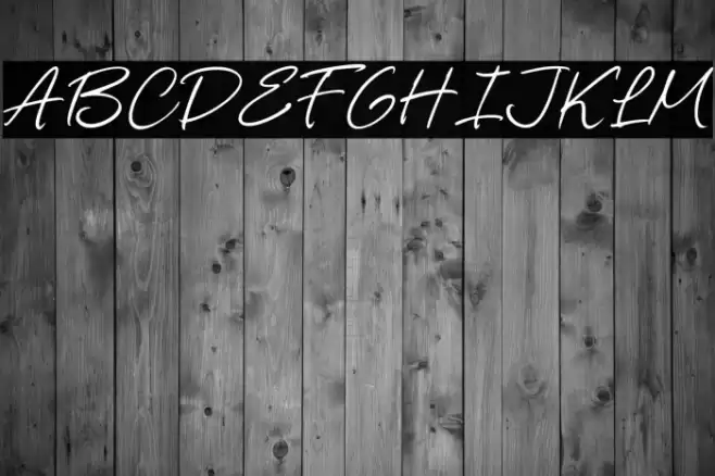 Opencare Шрифта examples