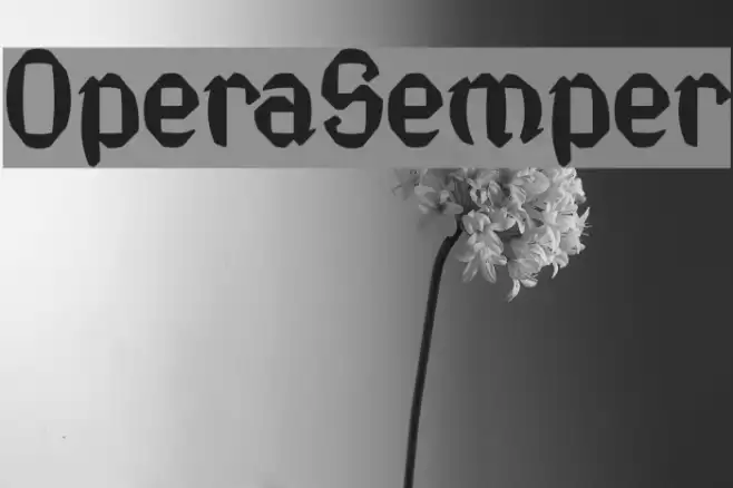 OperaSemper Font examples