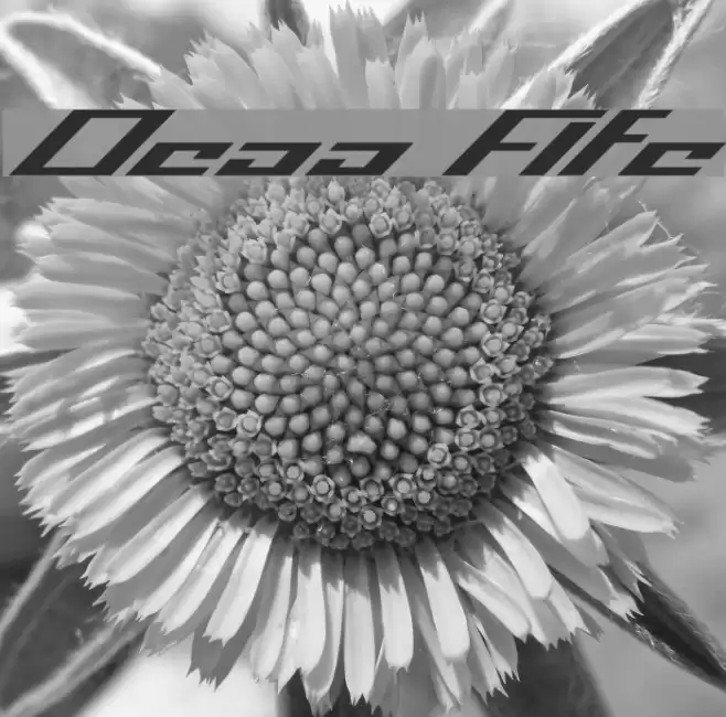 Operational Amplifier Schriftart examples