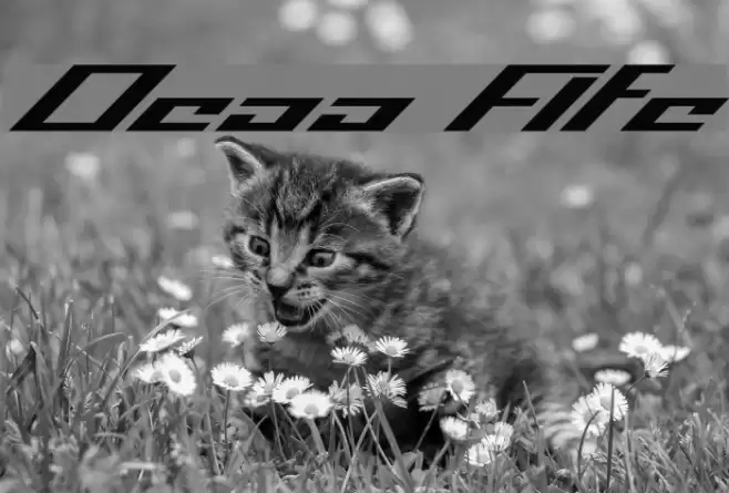 Operational Amplifier Schriftart examples