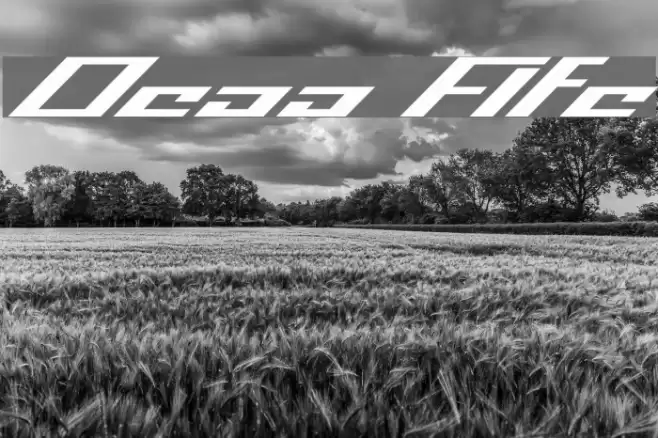 Operational Amplifier Schriftart examples