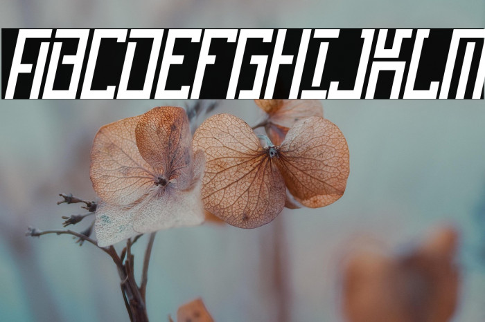 OperationalAmplifier-Regular Example 2