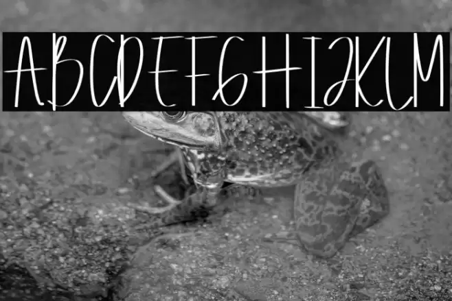 Ophalaria Font examples