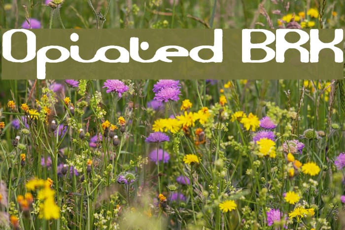 Opiated BRK Font examples