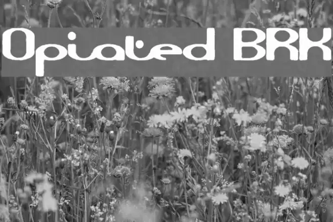 Opiated BRK Polices examples