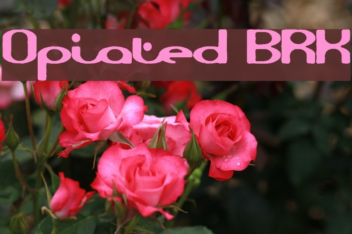 Opiated BRK Font examples