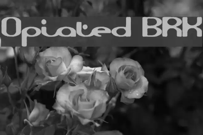 Opiated BRK Polices examples