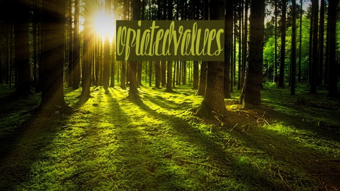 OpiatedValues Font examples