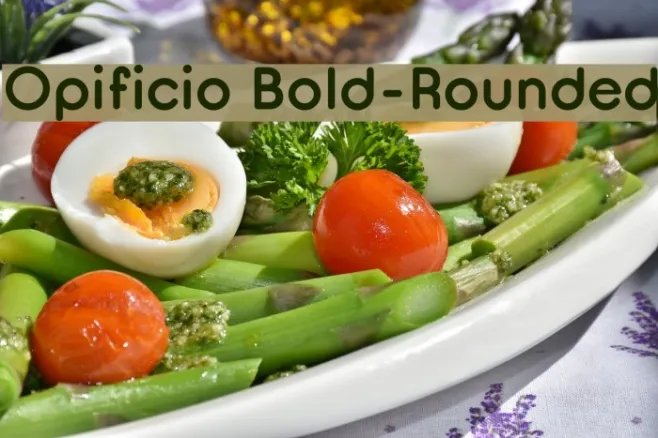 Opificio Bold-Rounded Example 1