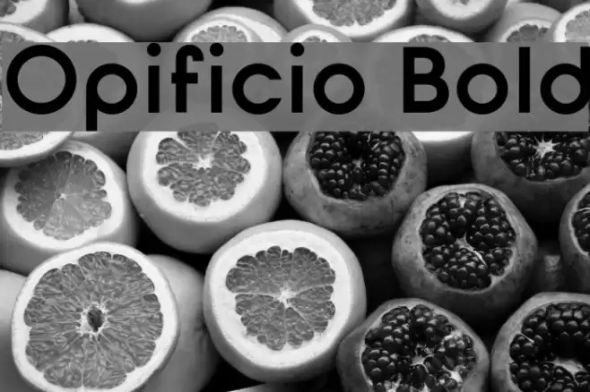 Opificio Bold Font examples
