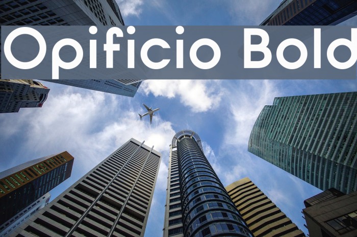 Opificio Bold Font examples