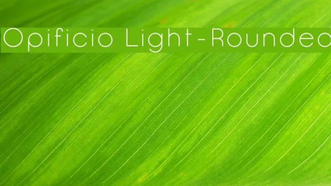 Opificio Light-Rounded Example 2
