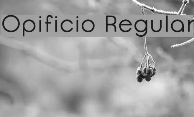 Opificio Regular Font examples