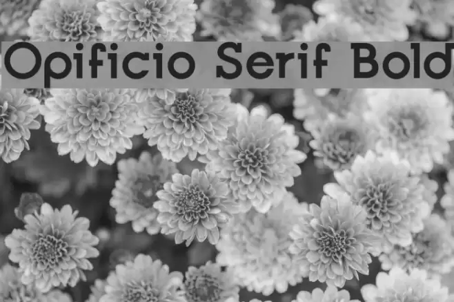 Opificio Serif Bold Font examples