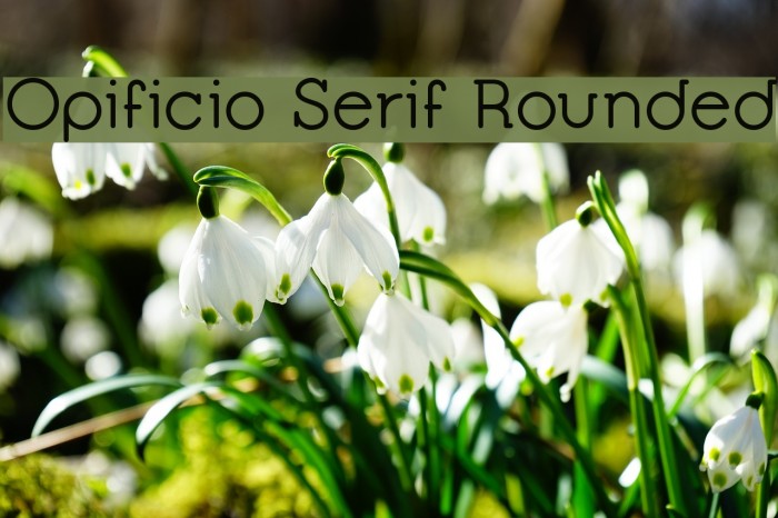 Opificio Serif Rounded Font examples