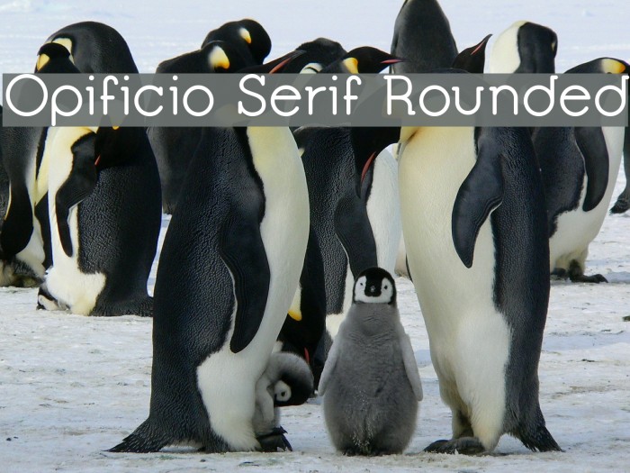 Opificio Serif Rounded Font examples