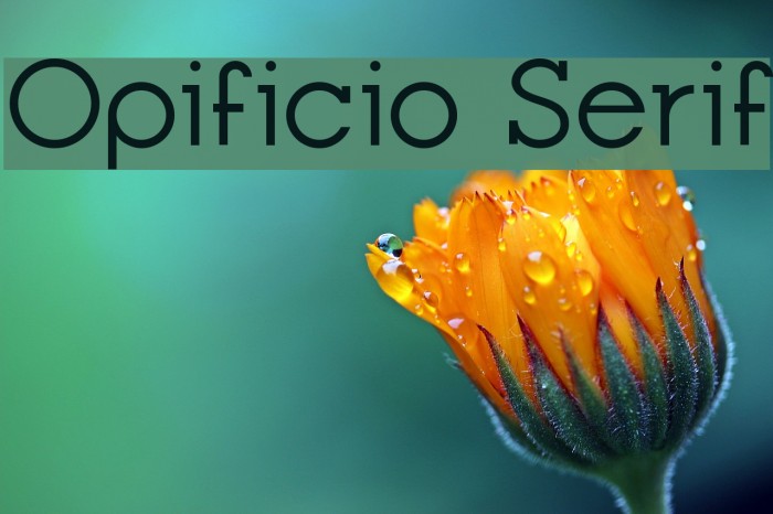 Opificio Serif Font examples