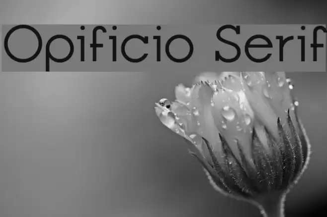 Opificio Serif Caratteri examples