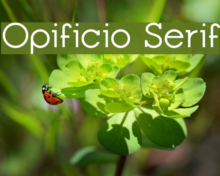 Opificio Serif Font examples